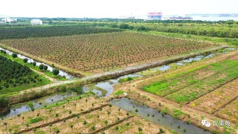 江上訪洲⑥ · 連江通海 常州錄安洲從萬噸碼頭化身生態(tài)綠洲