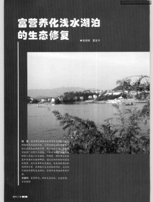 富營(yíng)養(yǎng)化淺水湖泊中水生植被的生態(tài)恢復(fù)方法