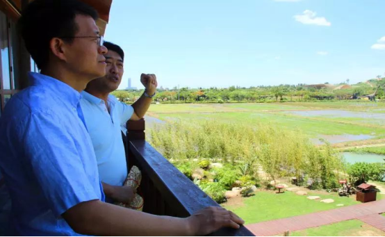 加強(qiáng)濕地生態(tài)治理 助推農(nóng)業(yè)與旅游深度融合——張?jiān)迫A副部長(zhǎng)一行調(diào)研水稻國家公園生態(tài)恢復(fù)工作